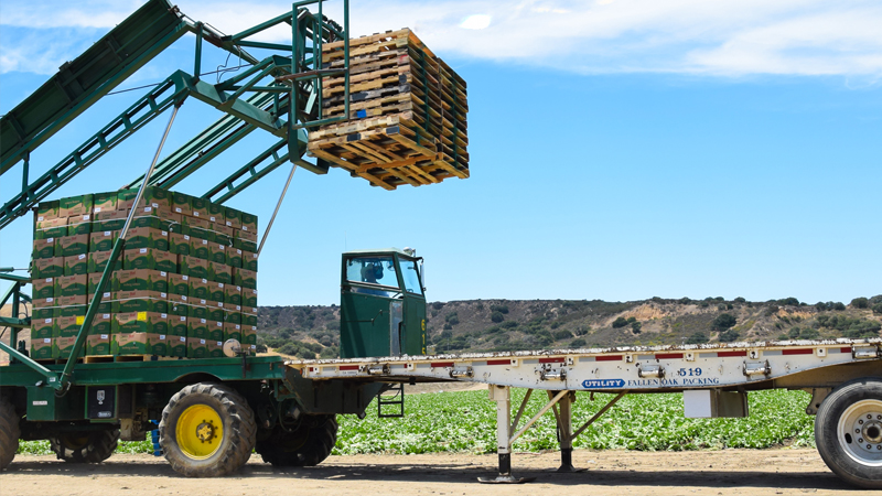 solucions indústria alimentària