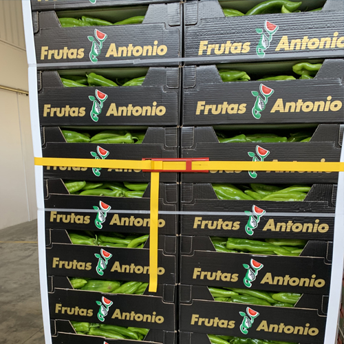 saguritat en transport alimentari